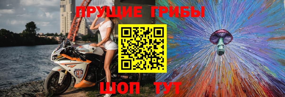 Псилоцибиновые грибы прущие грибы Кольчугино